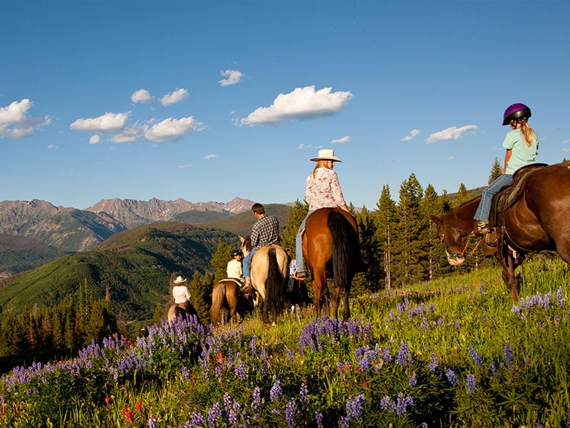 Horseback Riding near Breckenridge