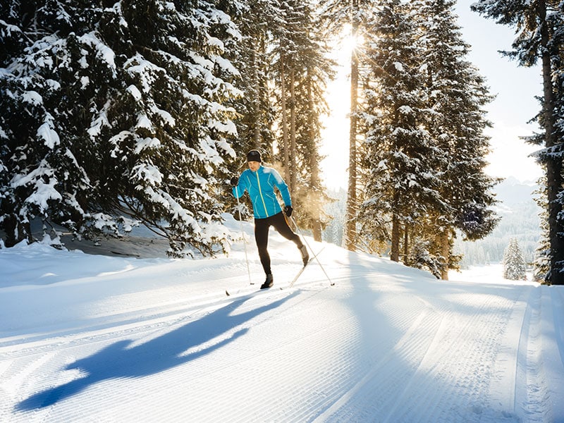 Nordic skier