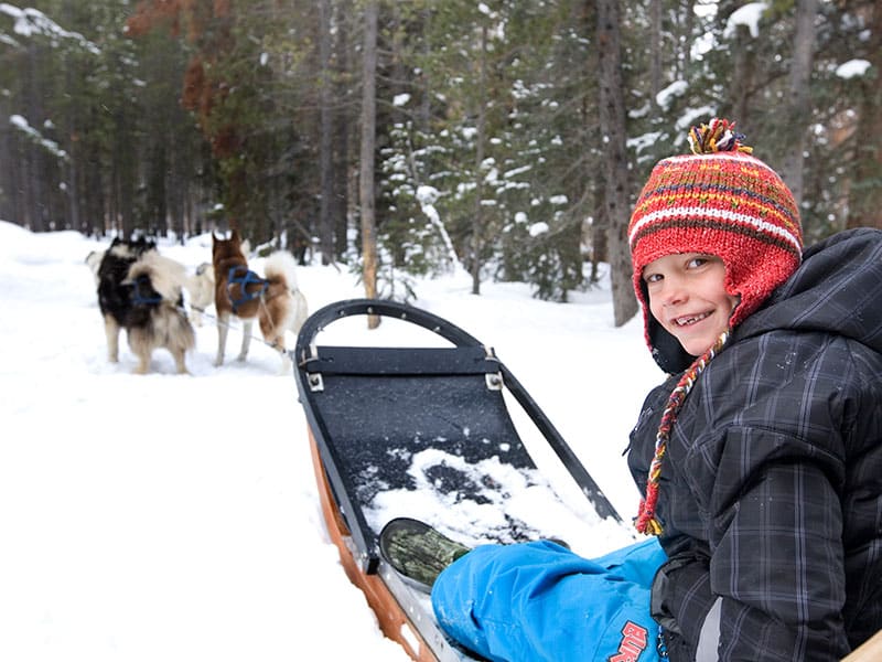 Dog sledding in Breckenridge