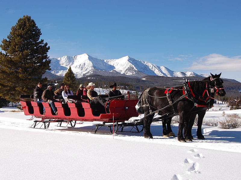 cat tour breckenridge