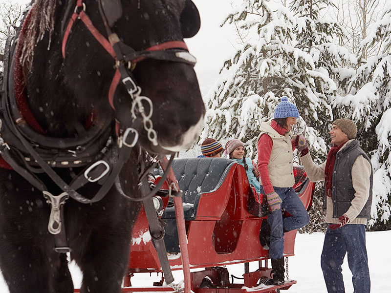 Sleigh ride in Breckenridge