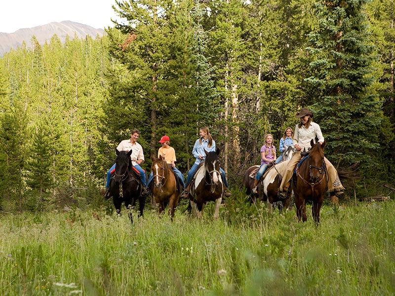 group horseback riding in Breckenridge