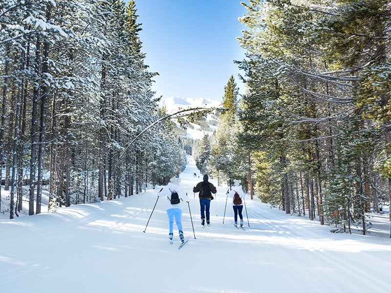 Streamridge Traîneau Coupeur Alpin Snowflake (Flocon De Neige)